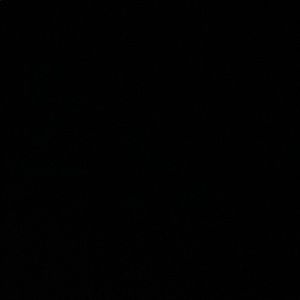 Meet your Posher, Audree